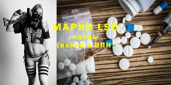 крисы Алзамай