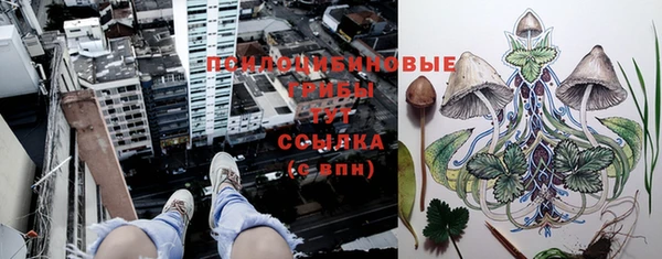 крисы Алзамай
