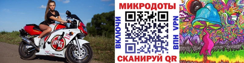 где найти   Курчалой  Галлюциногенные грибы GOLDEN TEACHER 