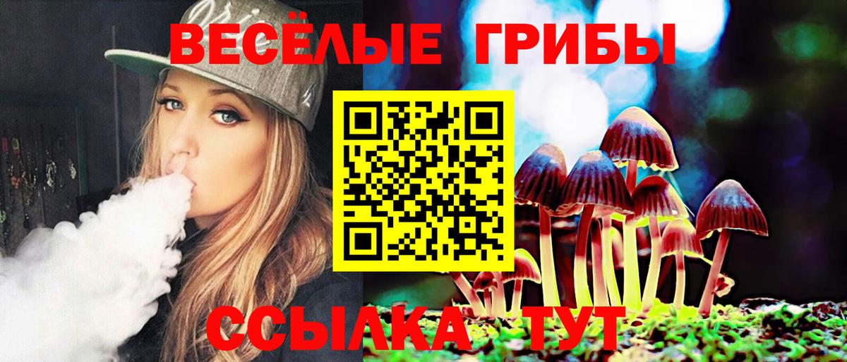 Псилоцибиновые грибы мицелий  Вход с VPN  магазин продажи   Курчалой 
