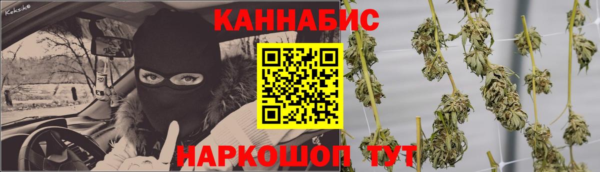 Бошки марихуана планчик Курчалой